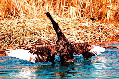 《乐高地平线大冒险》为何不登陆Xbox：目前没有消息要宣布