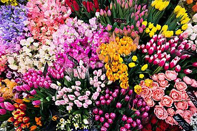 《合金装备3：重制版》和原版画面对比